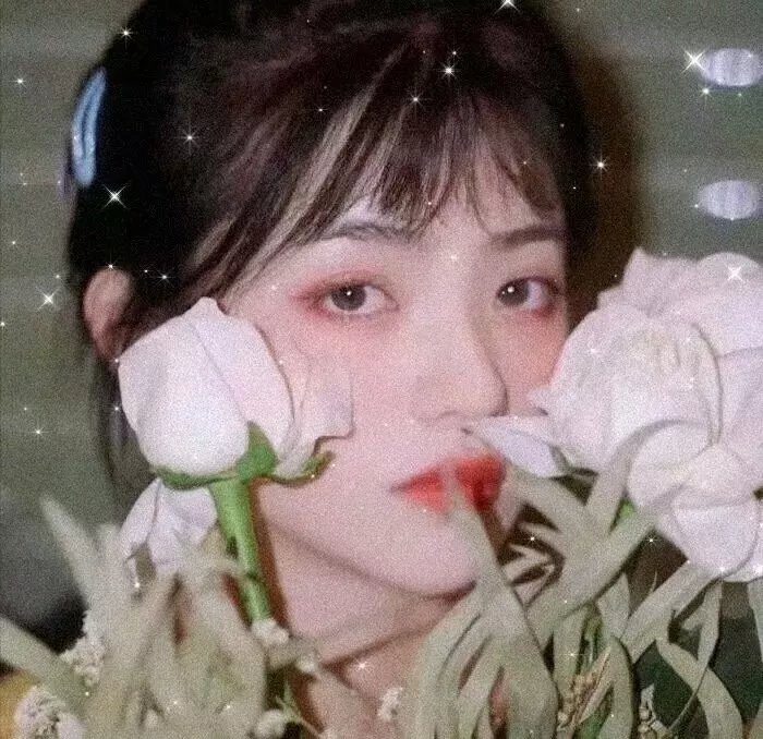 侠女